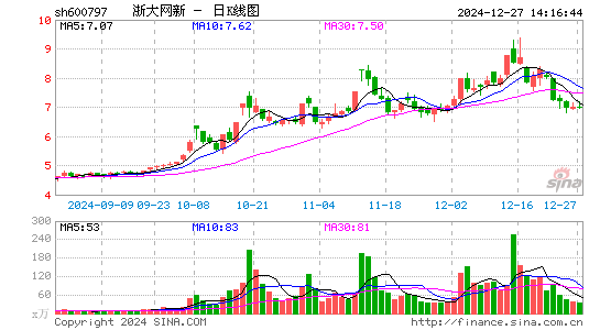 浙大网新