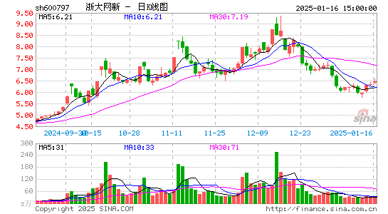 浙大网新