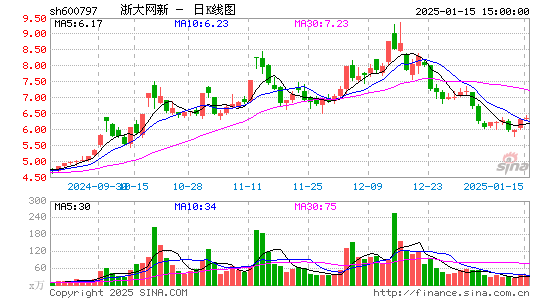 浙大网新