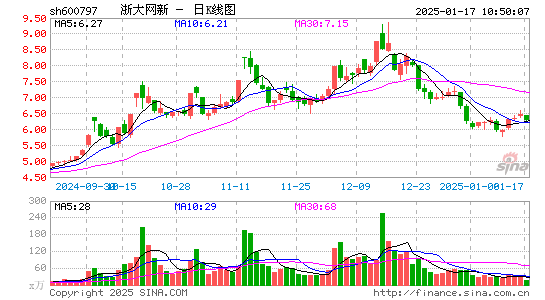 浙大网新