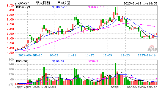 浙大网新