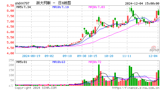 浙大网新