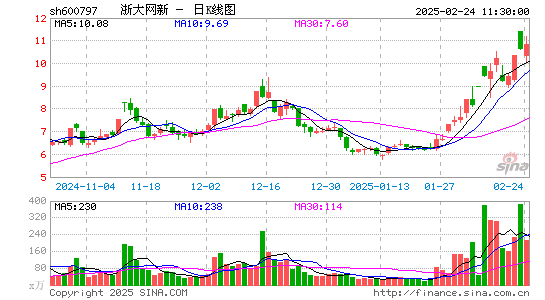 浙大网新