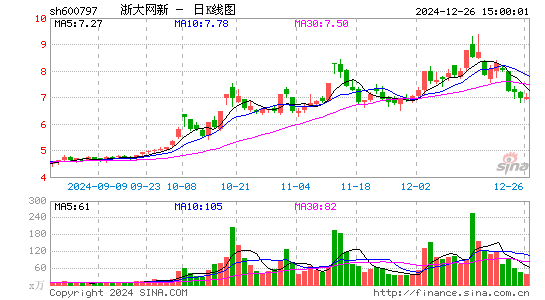 浙大网新