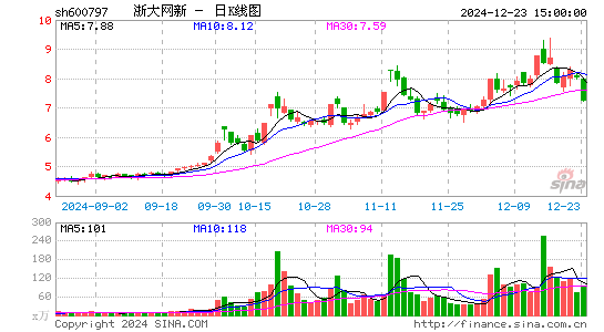 浙大网新