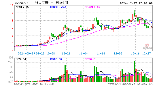 浙大网新