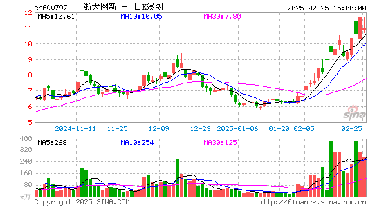 浙大网新