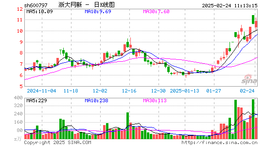 浙大网新