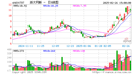 浙大网新