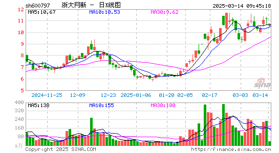 浙大网新