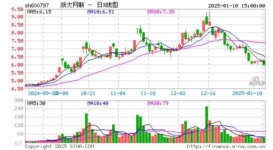 浙大网新