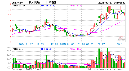 浙大网新