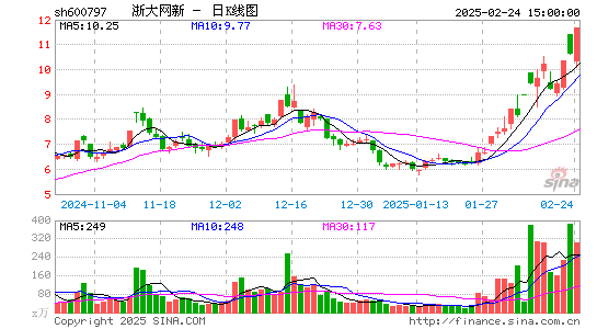 浙大网新