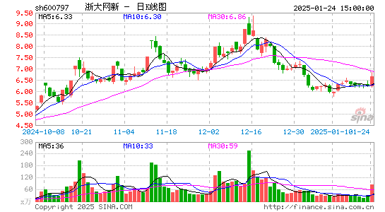 浙大网新