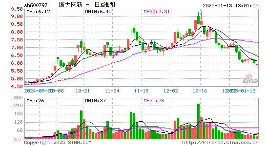 浙大网新