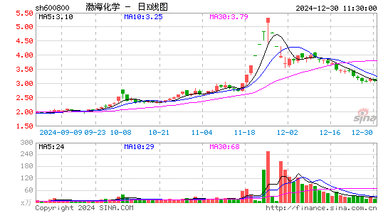 渤海化学