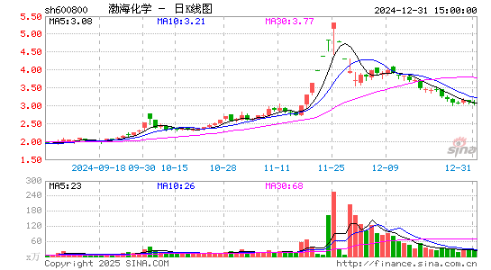 渤海化学