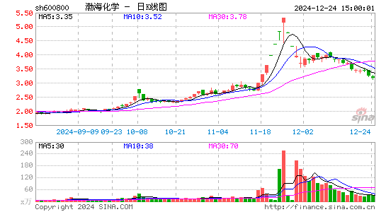 渤海化学