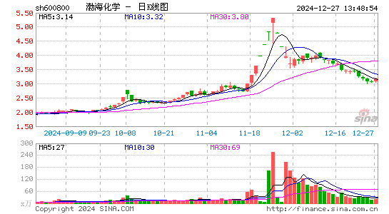 渤海化学