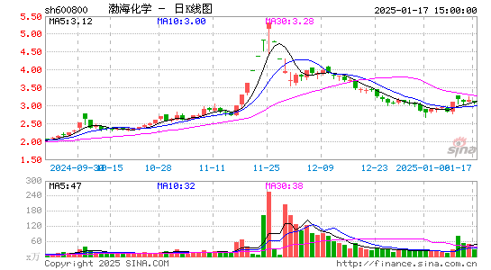 渤海化学