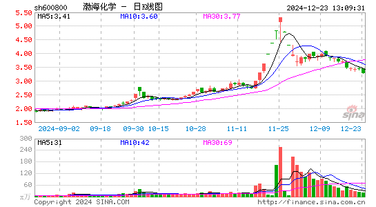 渤海化学