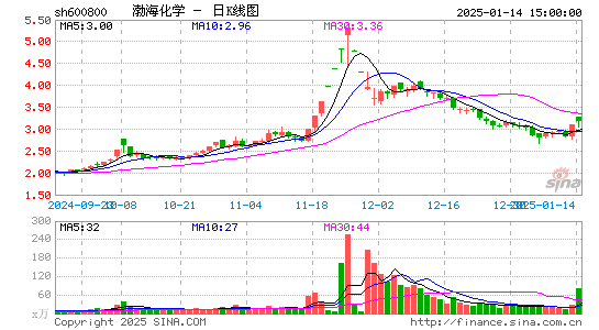 渤海化学