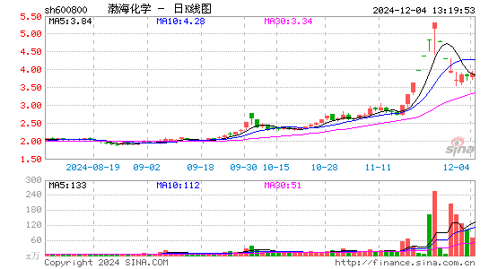 渤海化学