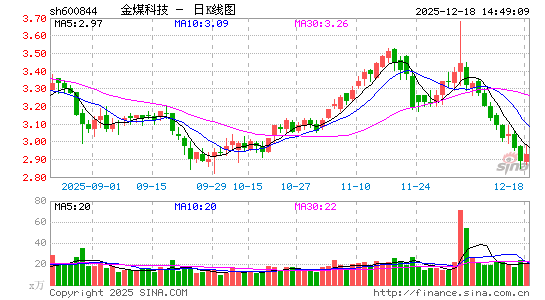 �����Ƽ�