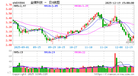 �����Ƽ�