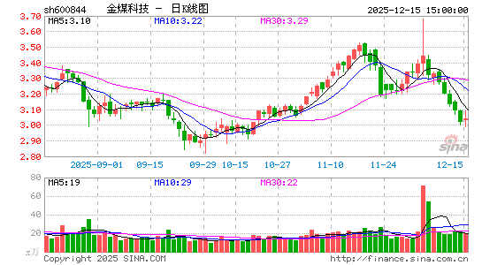 �����Ƽ�