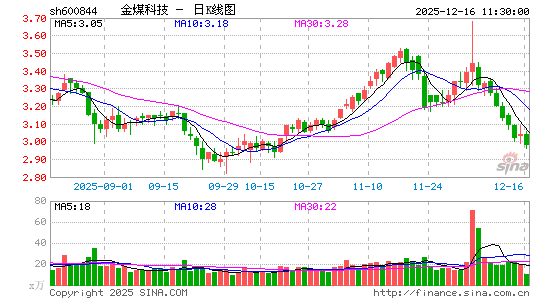 �����Ƽ�