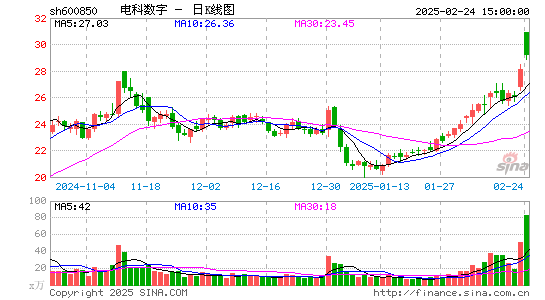 电科数字