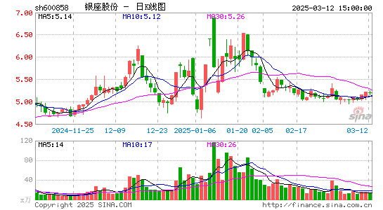 银座股份