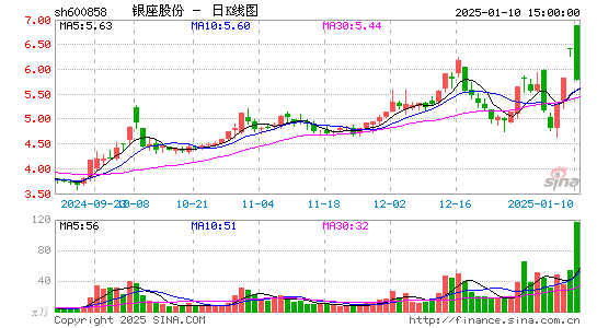 银座股份