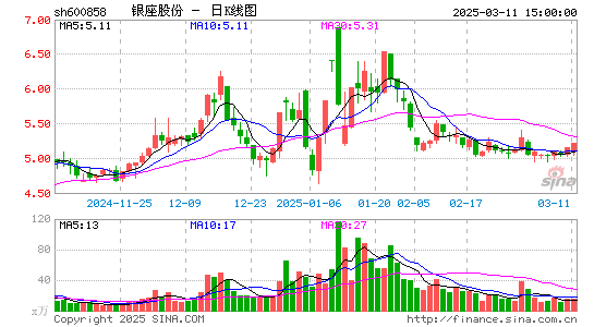 银座股份