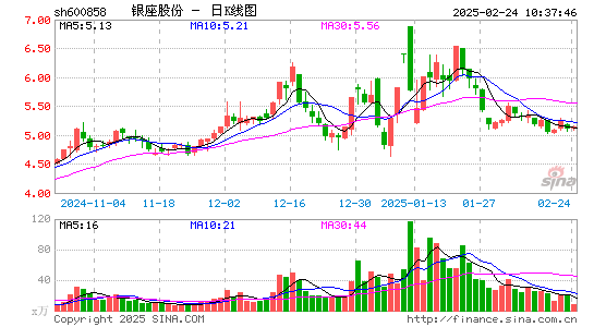 银座股份