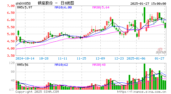 银座股份