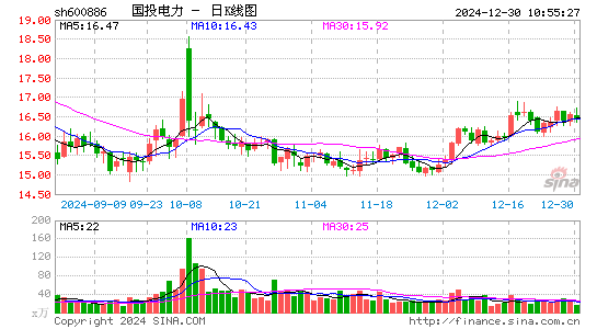 国投电力