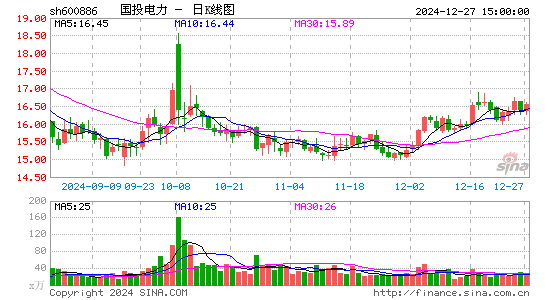 国投电力