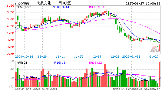 大晟文化