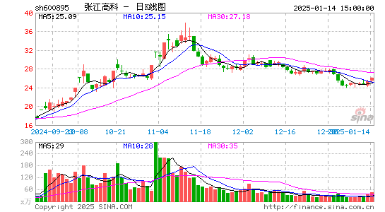 张江高科