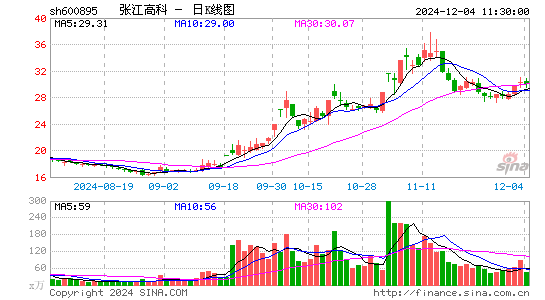 张江高科