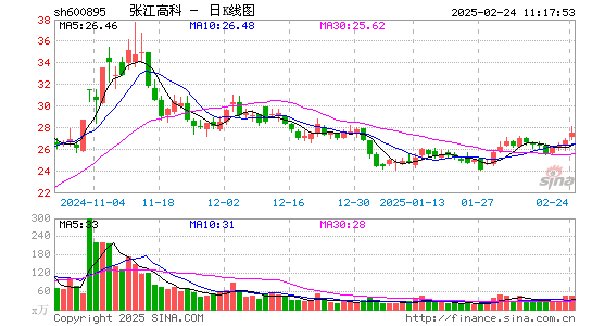 张江高科