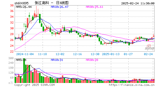 张江高科