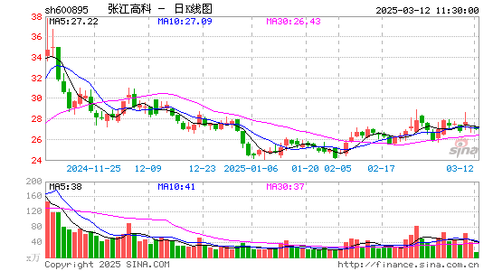 张江高科