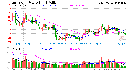 张江高科