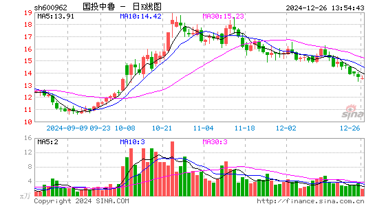 国投中鲁