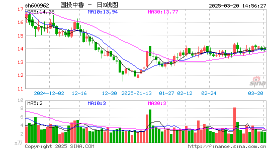 国投中鲁