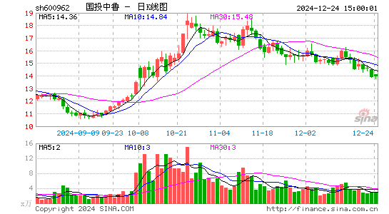 国投中鲁