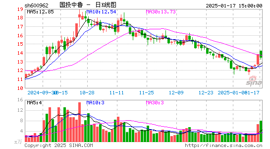 国投中鲁